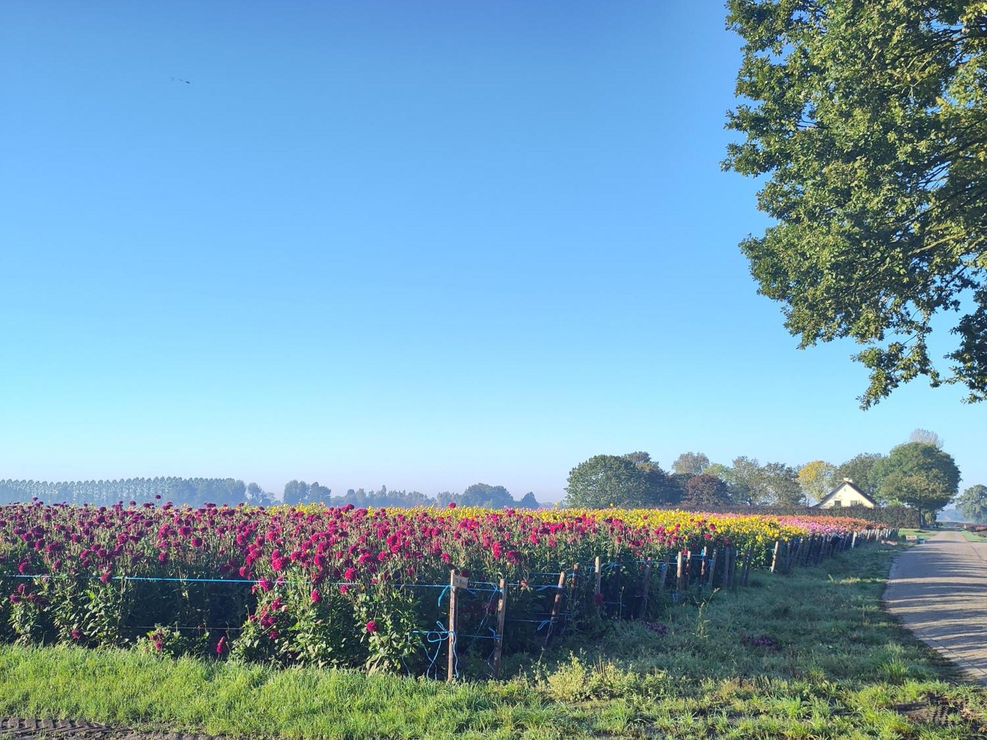 Zundert 'T Voske Bed & Breakfast エクステリア 写真