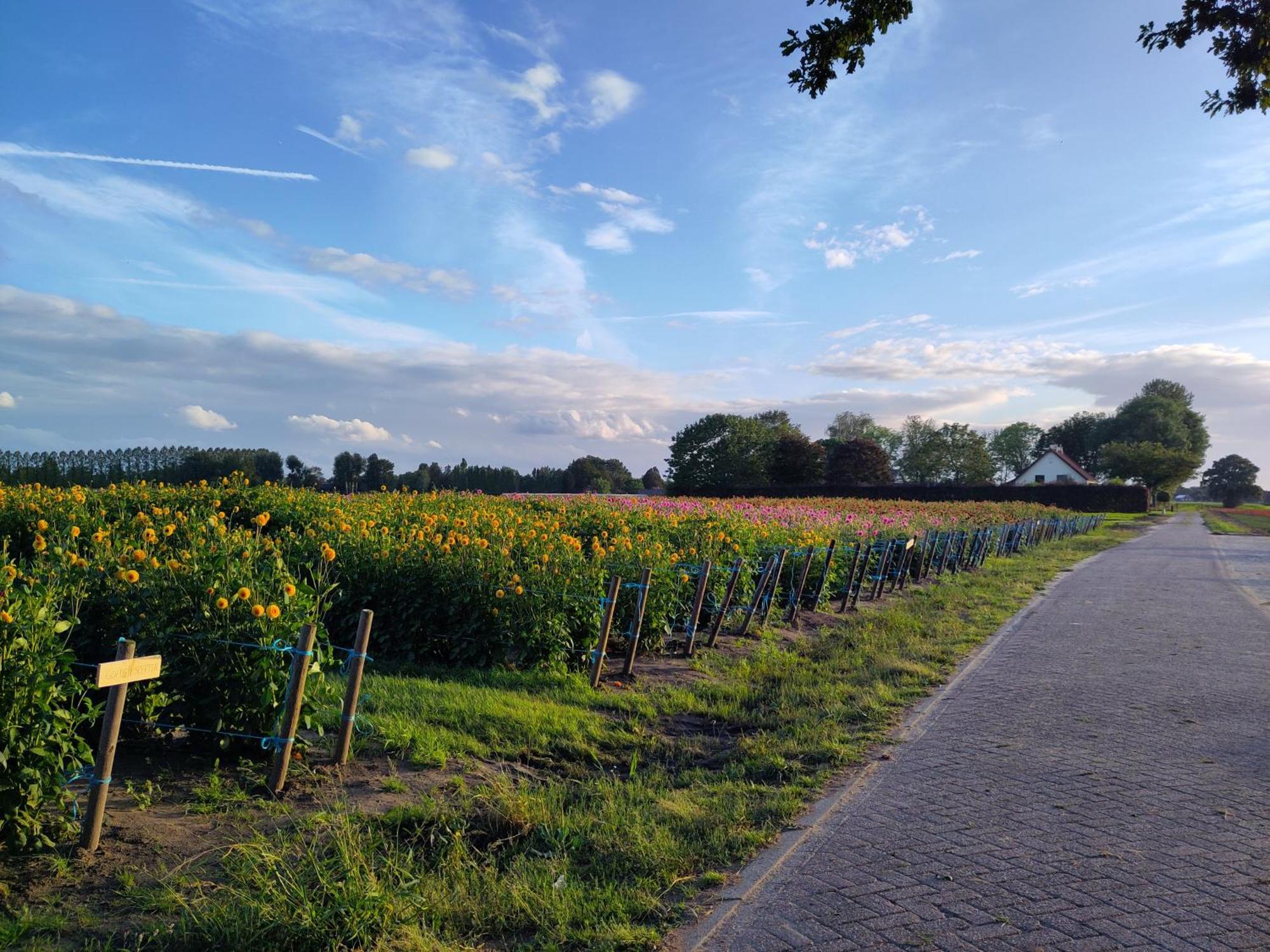 Zundert 'T Voske Bed & Breakfast エクステリア 写真