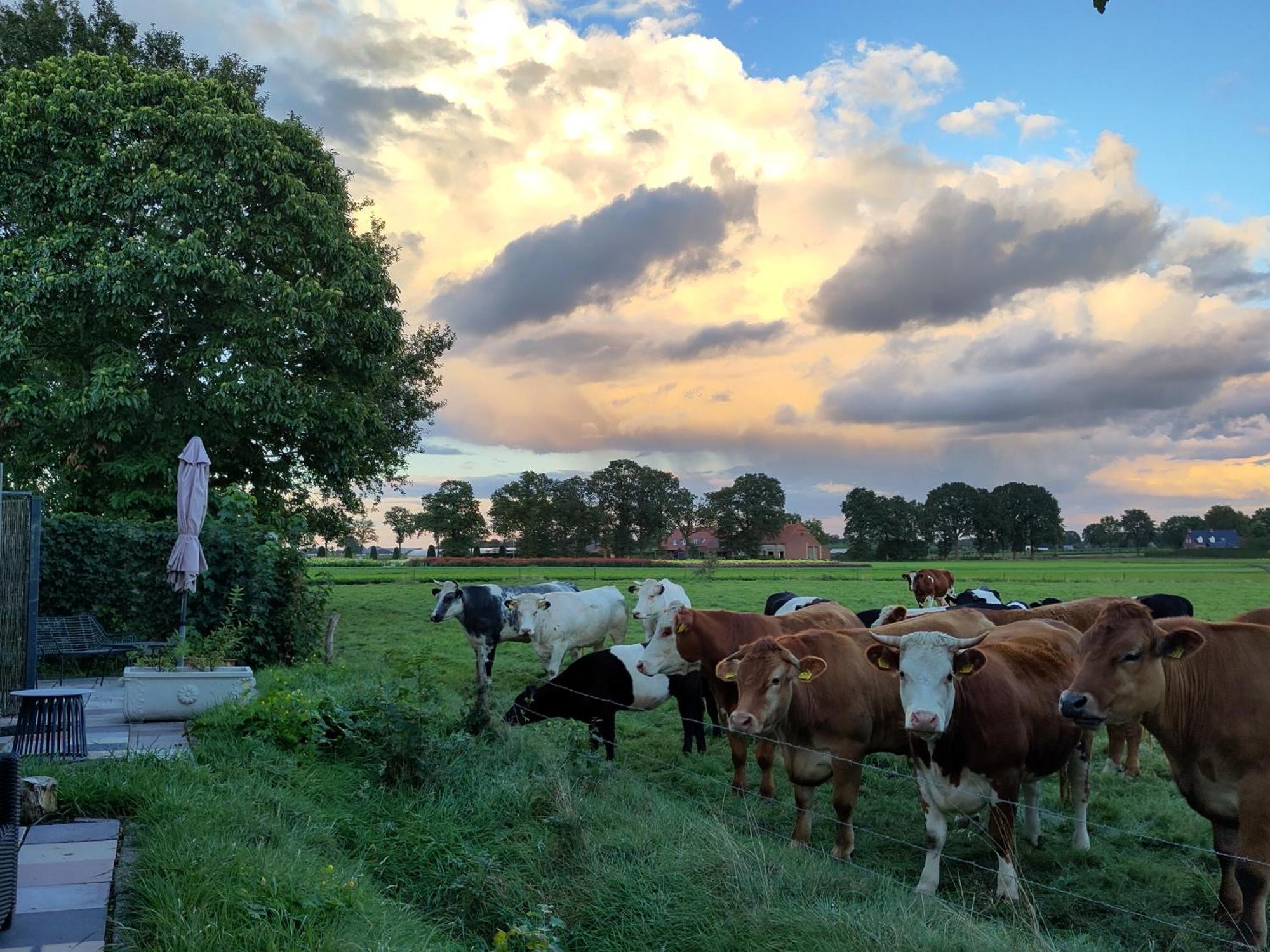 Zundert 'T Voske Bed & Breakfast エクステリア 写真