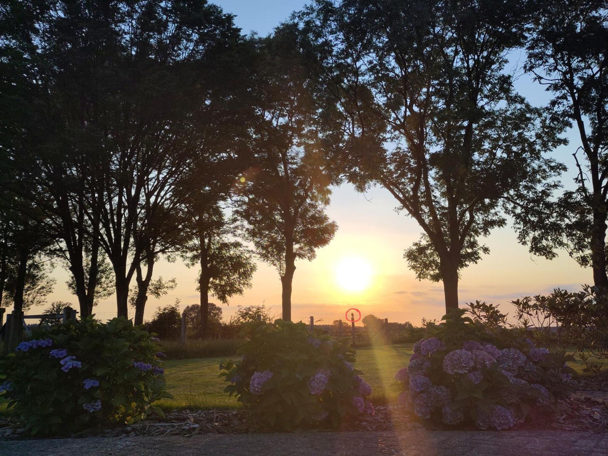 Zundert 'T Voske Bed & Breakfast エクステリア 写真