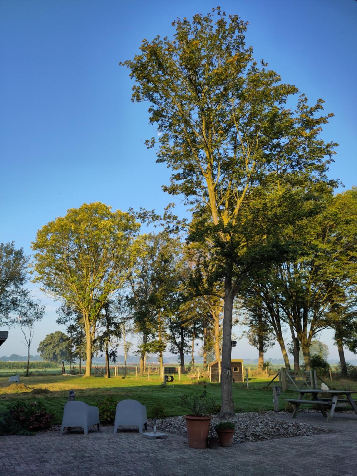 Zundert 'T Voske Bed & Breakfast エクステリア 写真